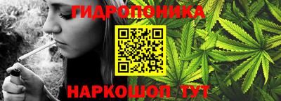 эйфоретик Славгород