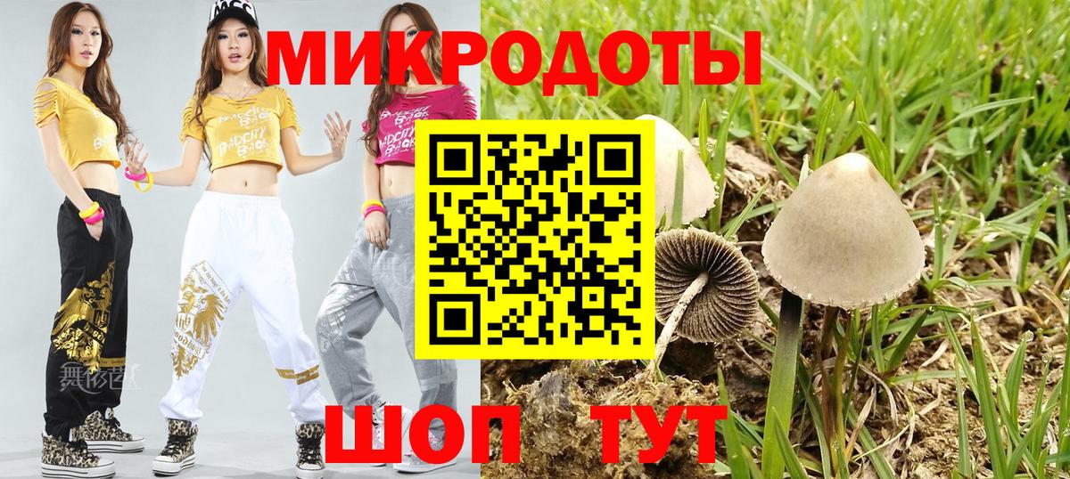 Галлюциногенные грибы Psilocybine cubensis  Вход с VPN  Бийск 