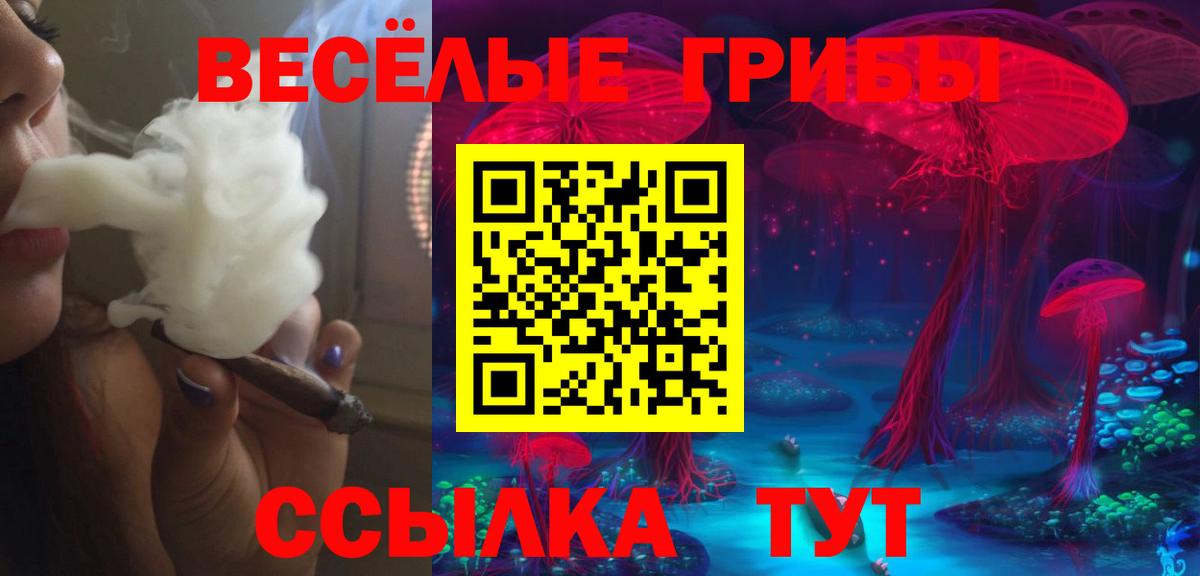 Псилоцибиновые грибы Psilocybine cubensis Бийск
